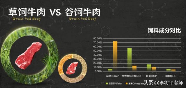 为什么外国人养牛在牛身上开个洞,现在的奶牛都在牛身上开洞吗