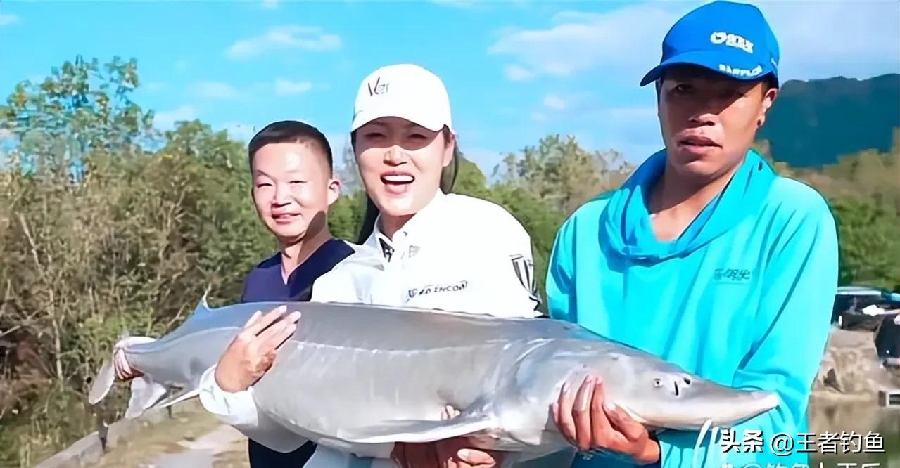 刘志强野钓鲫鱼绝密技巧,刘志强钓鱼视频野钓实战全集