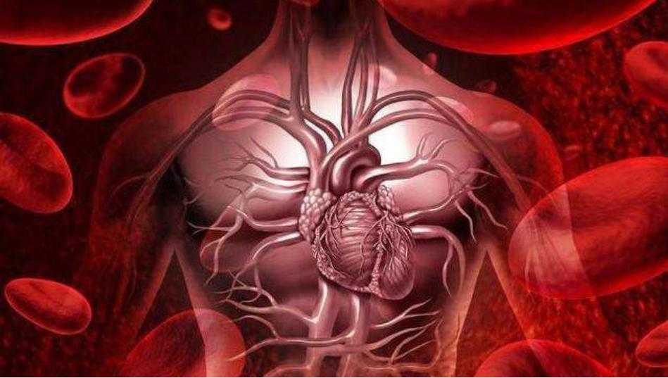 肾病高血压可以吃阿利沙坦酯,国产新药阿利沙坦酯保护心肾