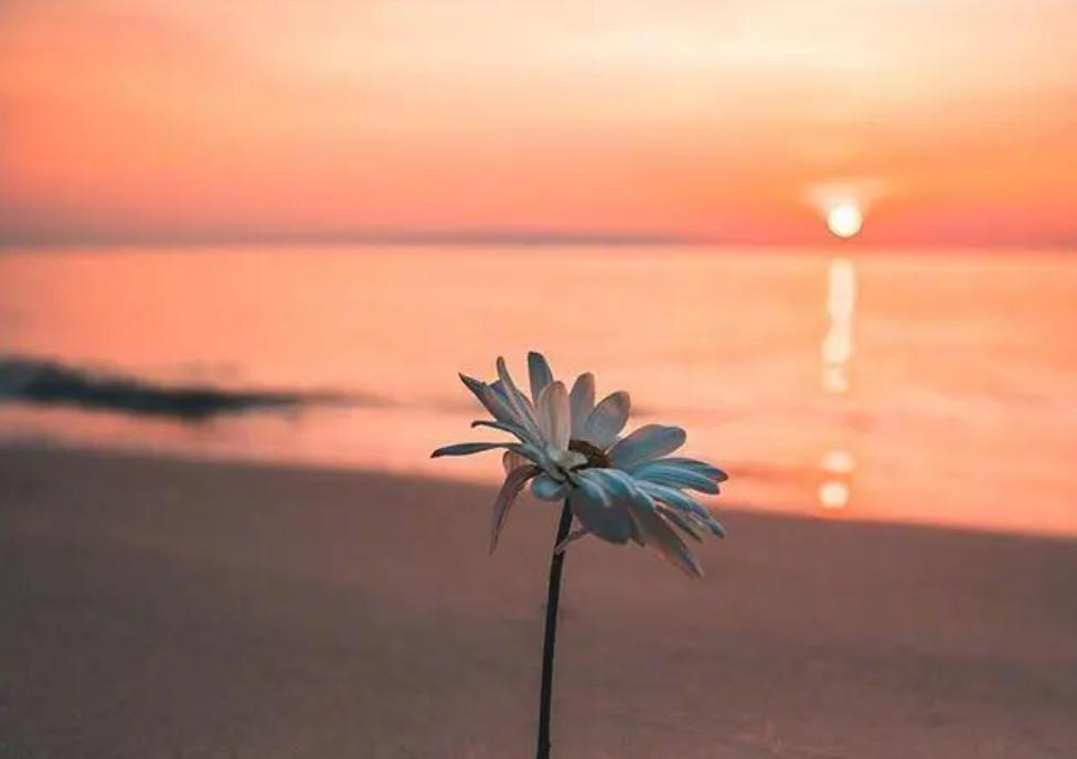 鑻ヨ浜虹敓澶劍铏戜笉濡ㄥ璇绘豹鏇剧ズ,濡傝浜虹敓澶嫙涓旇鍚庢劅