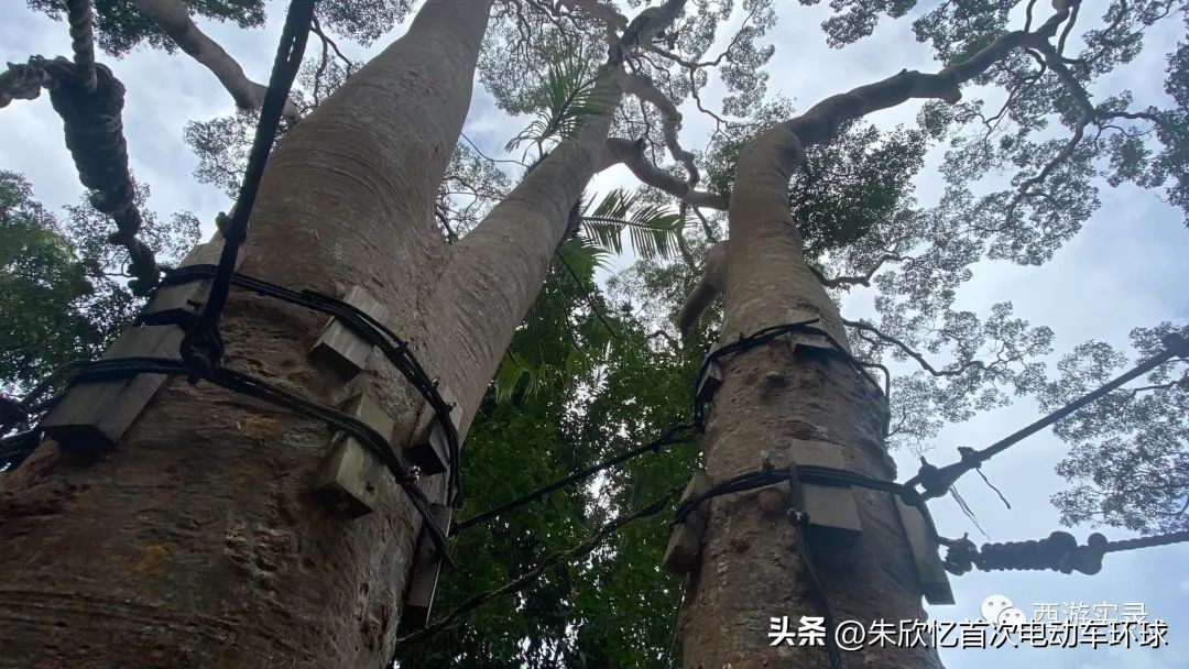 只带600就开车环绕地球一圈，还赚300万，回到亚洲又捡个华裔老婆