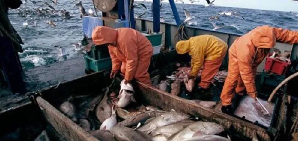 冰岛到底有多奇葩,冰岛为何只有37万人口