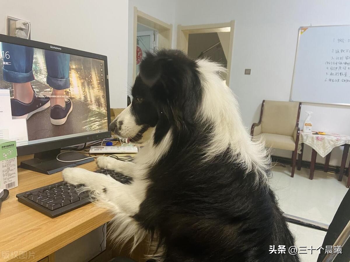 办公室戴什么眼镜保护眼睛,面对电脑和手机如何保护眼睛