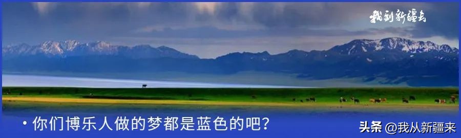 入疆旅游攻略,一篇攻略秒懂新疆
