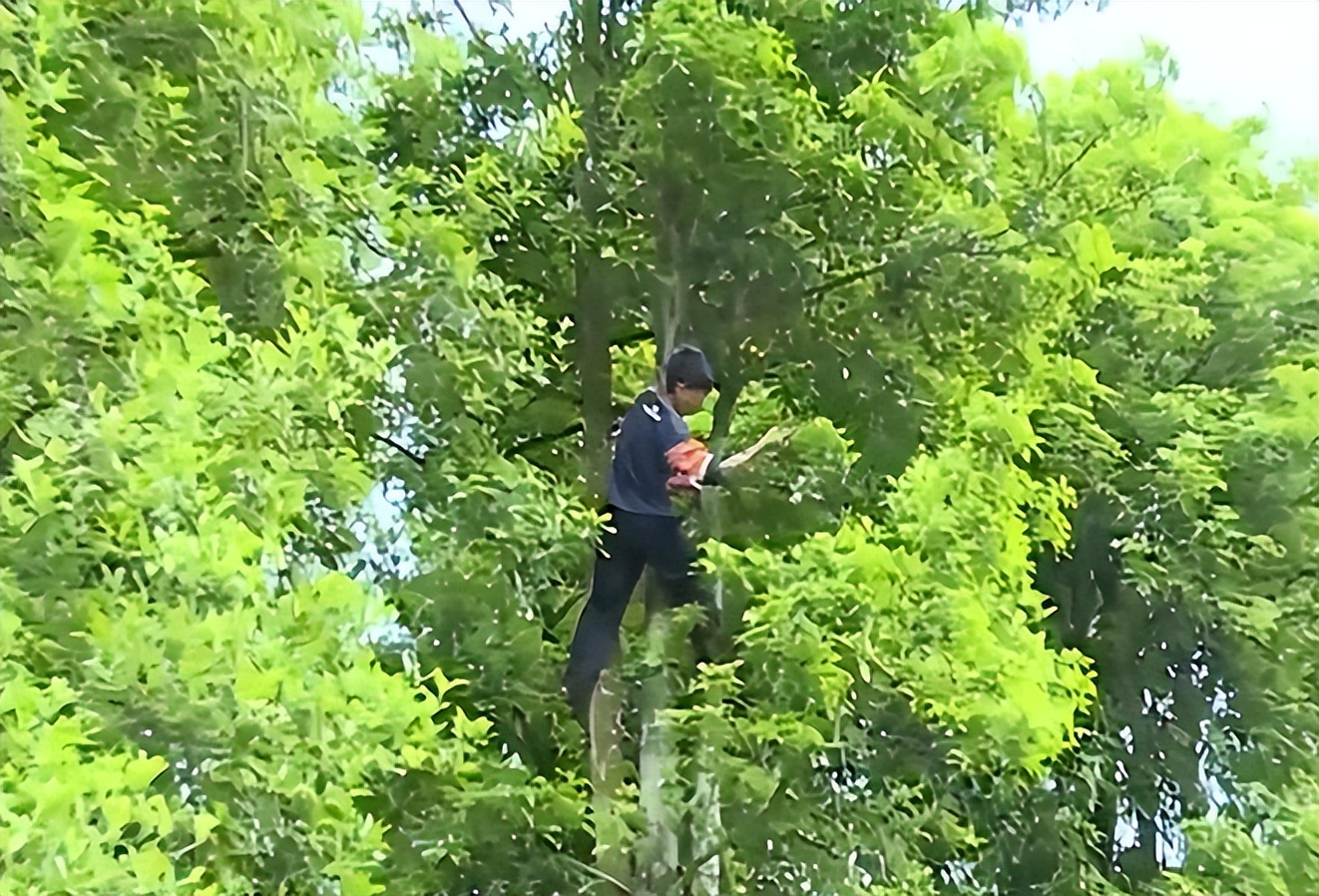 13岁孤儿独自生活,孤儿韦仁龙707分考上北大