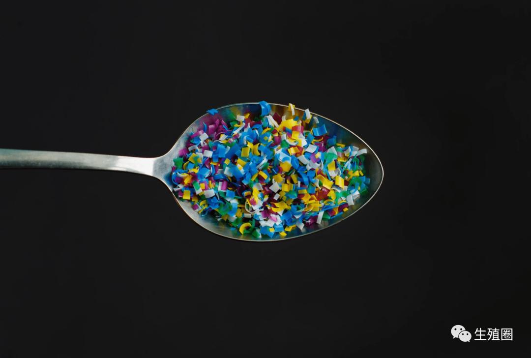 知道了转基因食品的危害性有用吗,知道了转基因食品的危害