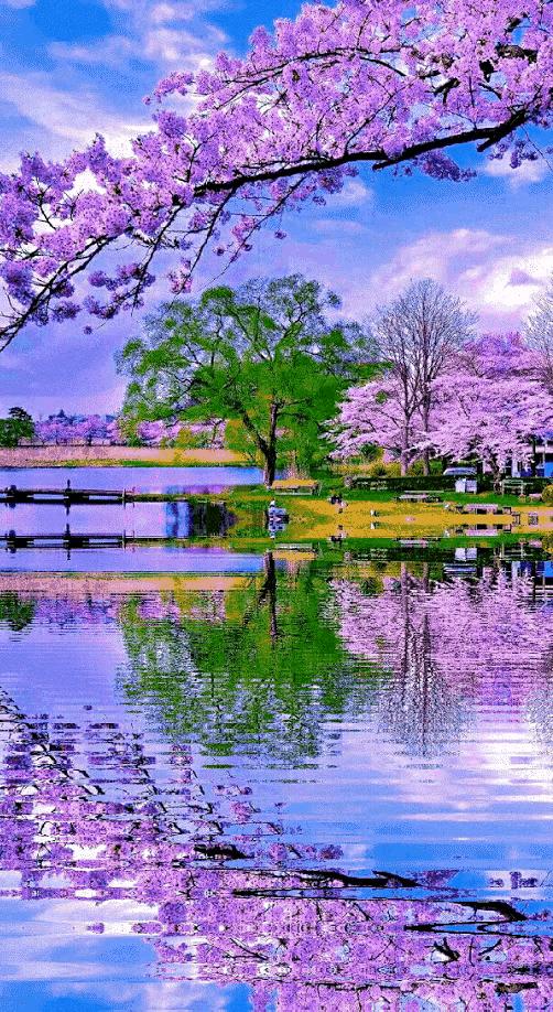 2023年03月03日星期五农历：癸卯年【兔年】二月十二八九第9天