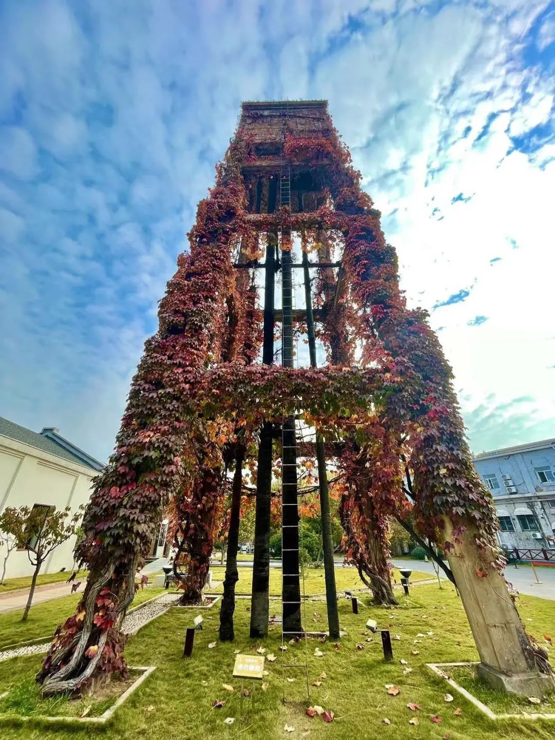 青岛纺织谷旅游攻略,青岛最近纺织谷拍什么