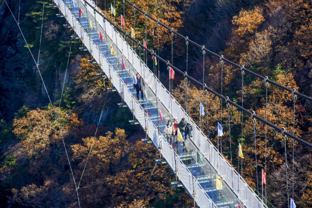 洛阳网红打卡地推荐,洛阳又一个网红打卡地