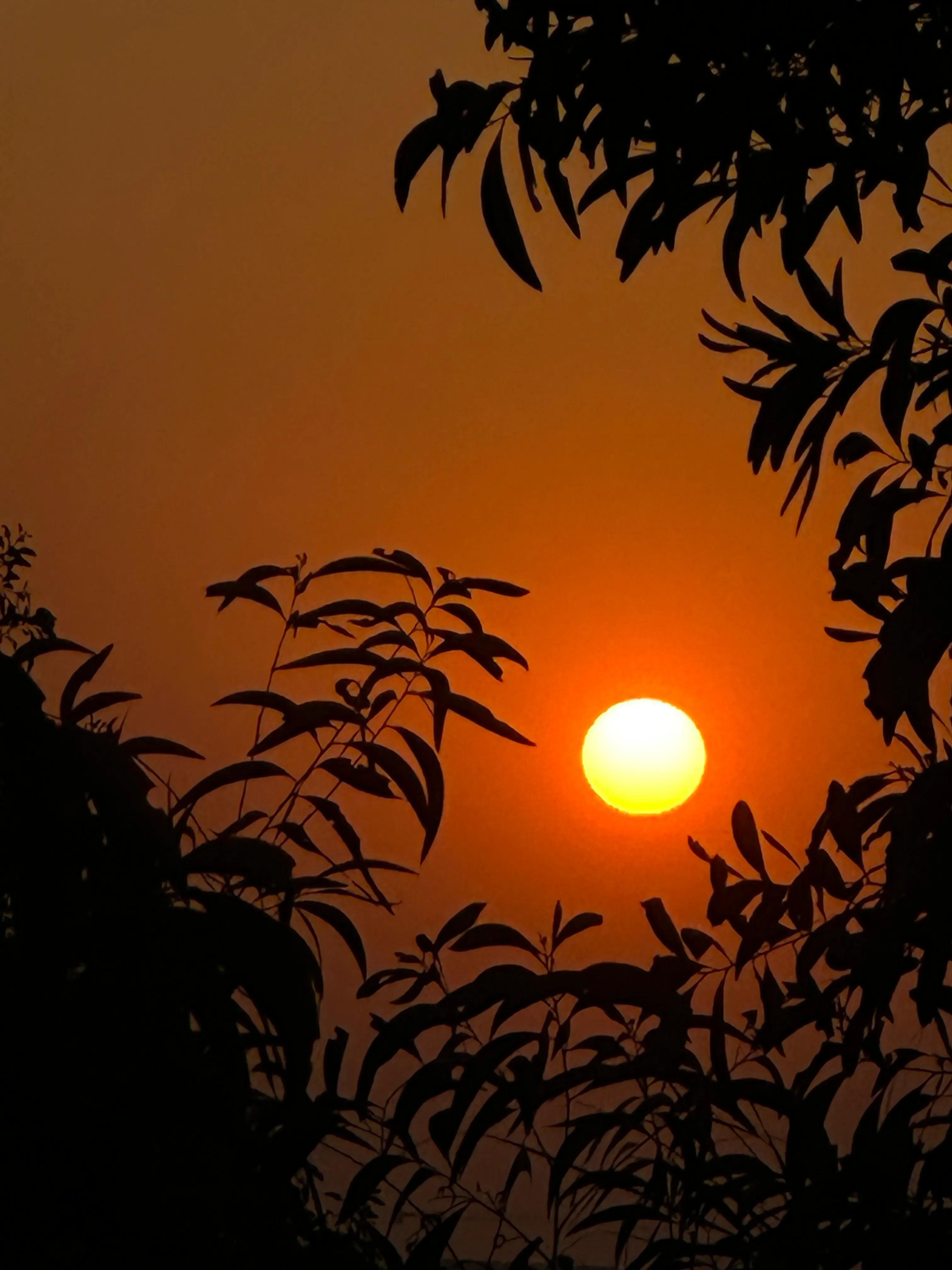 苏轼赤壁赋歌,前赤壁赋宋代苏轼