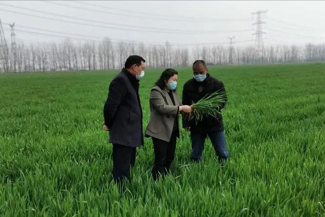 一户一块田补贴费用怎么分配,一户一田收回吗