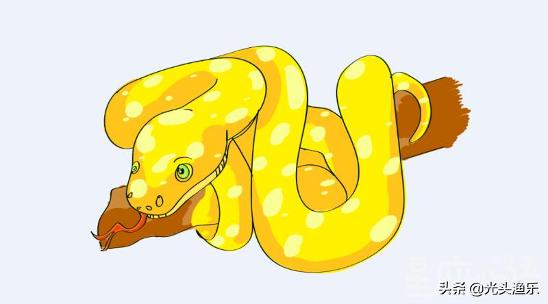 蚺蛇和巨蟒谁大,为什么蟒蛇有的又叫蚺