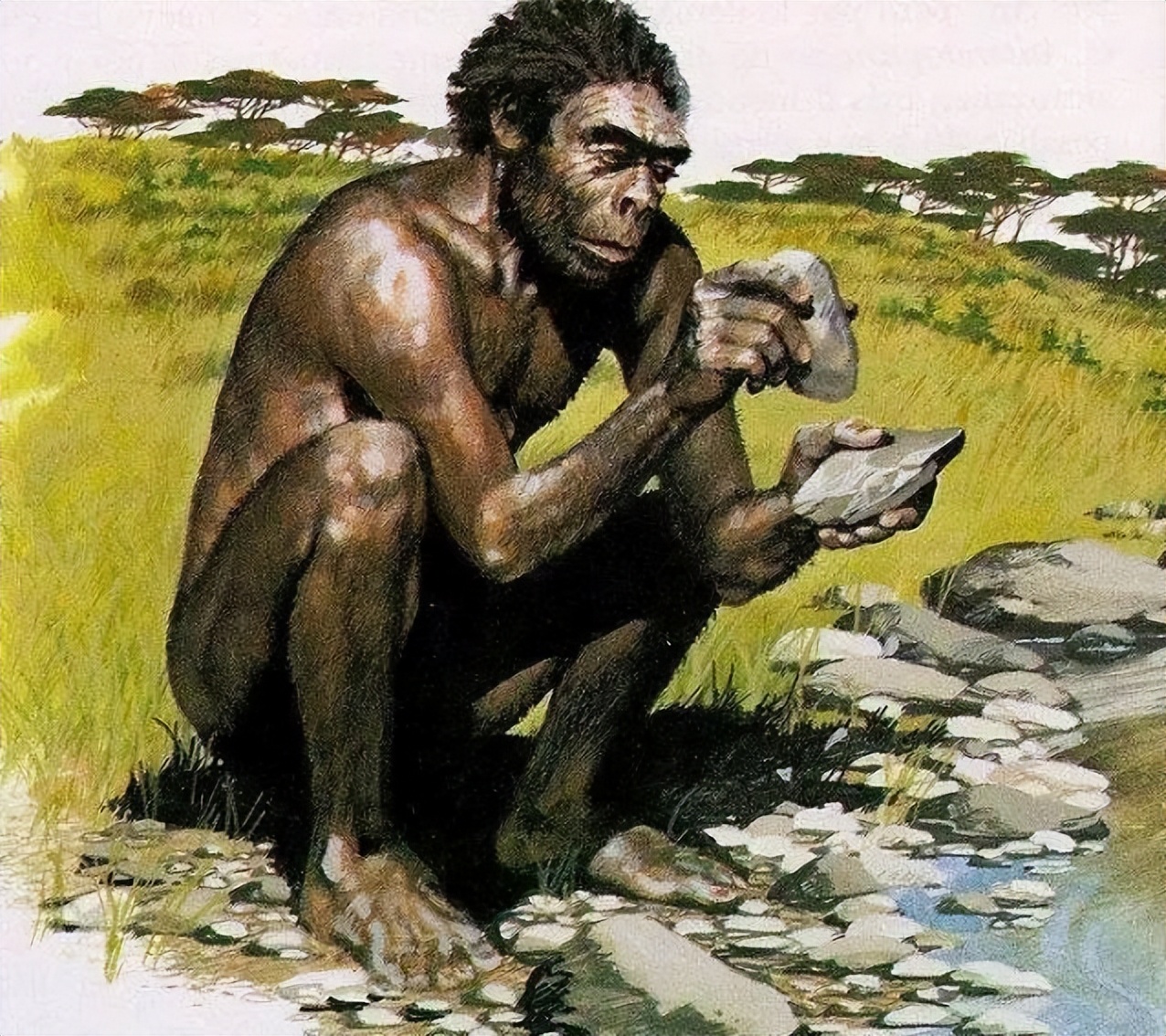 织布机到底是谁发明的,织布机是什么时候发明