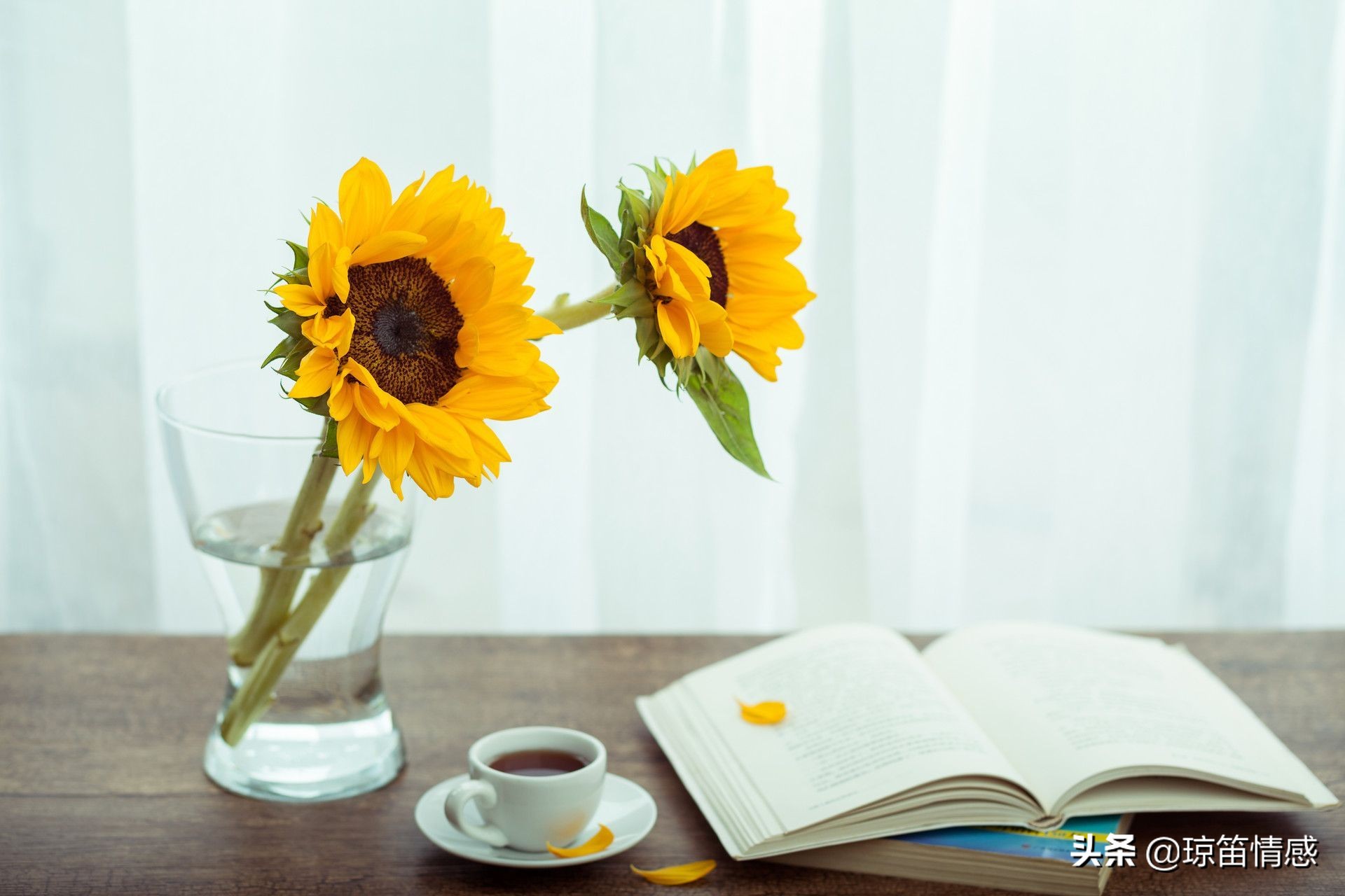 曾经流产过该不该瞒着男友,隐瞒流产史被老公发现会闹矛盾么