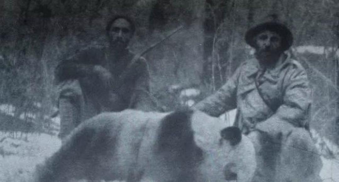 多少人关注丫丫,现在有多少人在关注丫丫