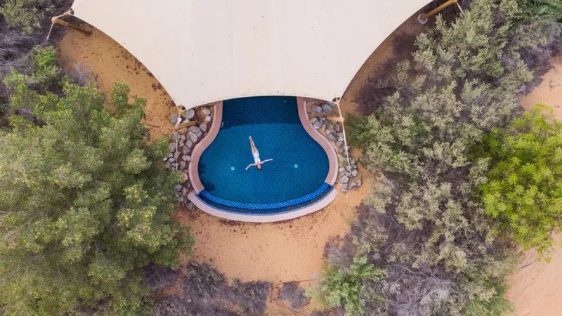 花了5.5w,只为在迪拜的沙漠里和羚羊相伴入睡