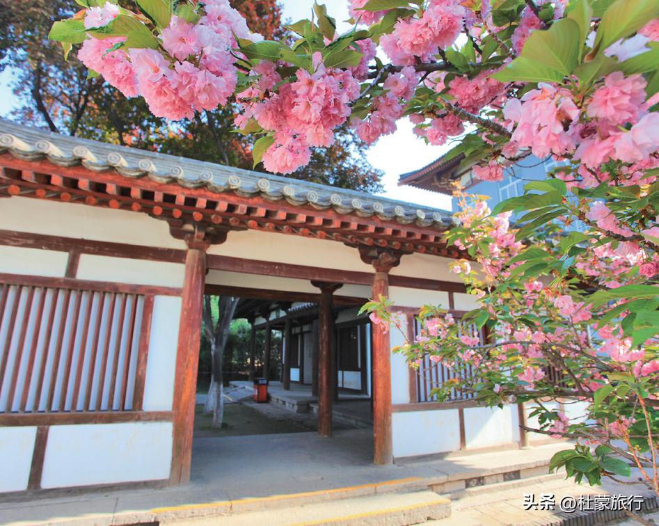 西安有什么好看的樱花景点,西安樱花最佳观赏地点