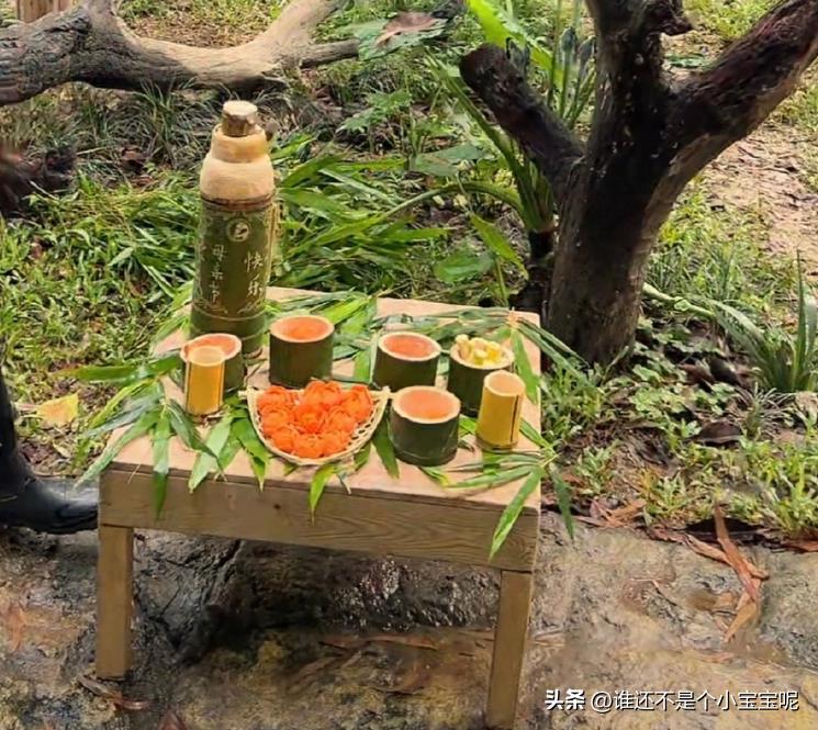 梅清大熊猫小时候去长隆视频,大熊猫梅清短腿