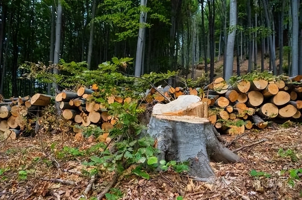 为什么细支烟反而危害性大,一支烟有多少危害