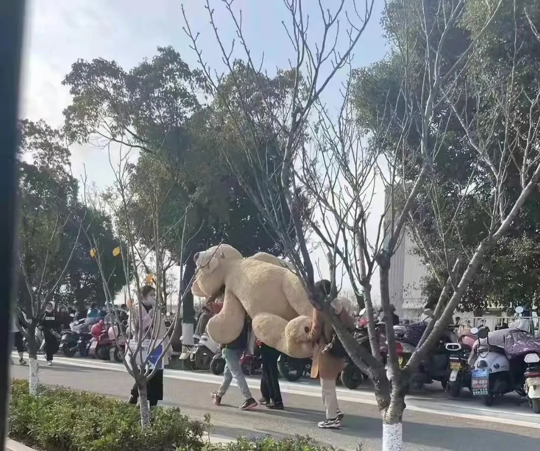 costco上海店和苏州店区别,costco苏州店开业第四天人还多吗