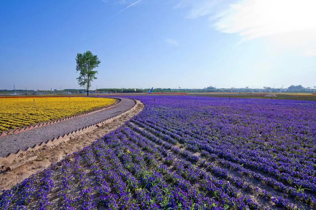 乡村振兴和巩固脱贫攻坚典型案例,人民网2022年乡村振兴示范案例