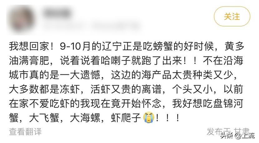 大马哈鱼,东北大马哈鱼