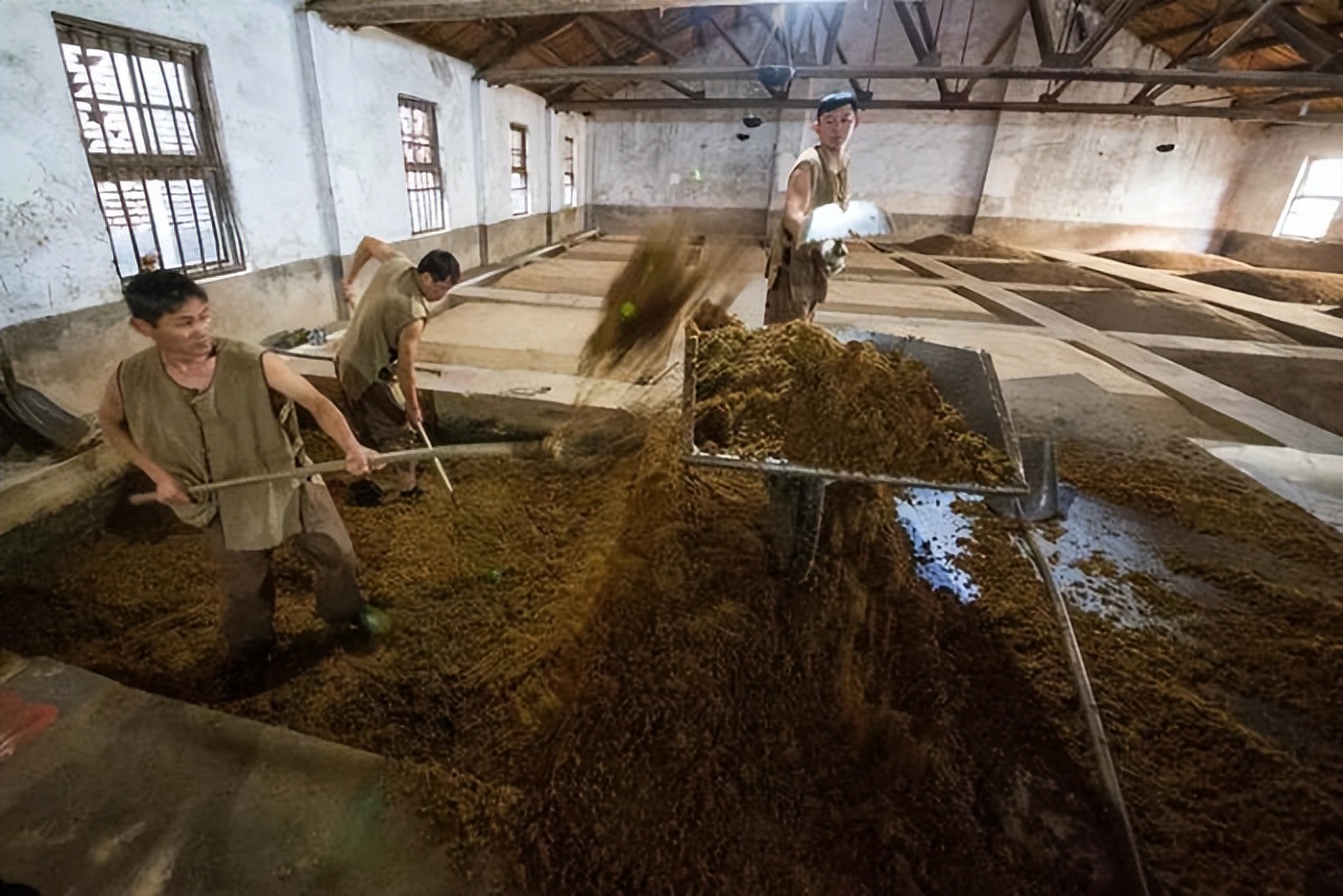 古井贡酒老酒收藏价值,古井贡酒年份原浆收藏版