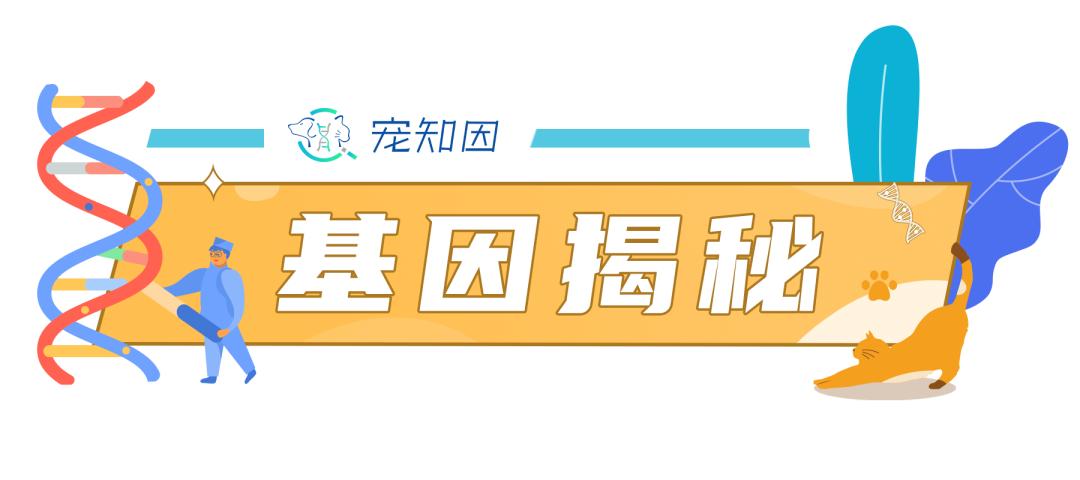 基因技术重大突破,基因科技的重大突破