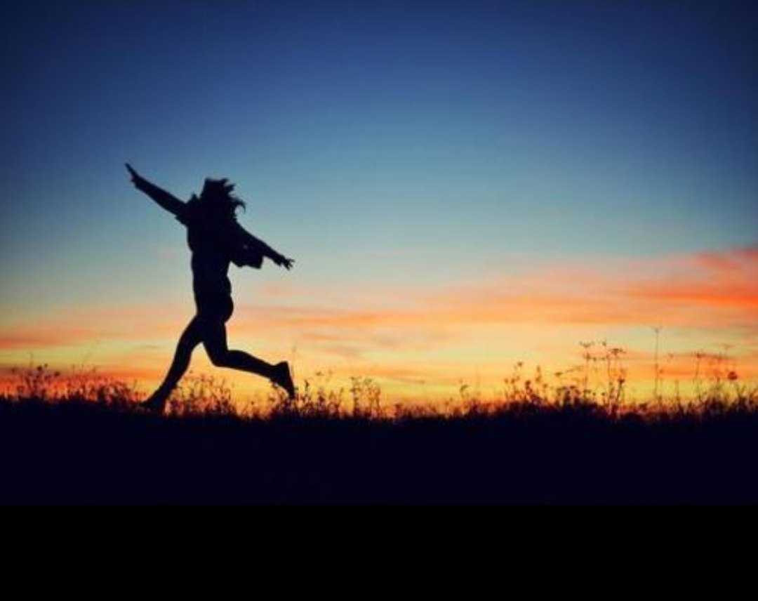 自由是什么结构,自由是什么形式