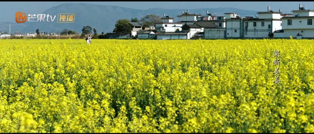 一起去有风的地方夏天,一起去有风有海的地方