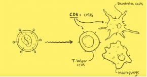 凝聚社会力量合力共抗艾滋——你了解艾滋病吗？