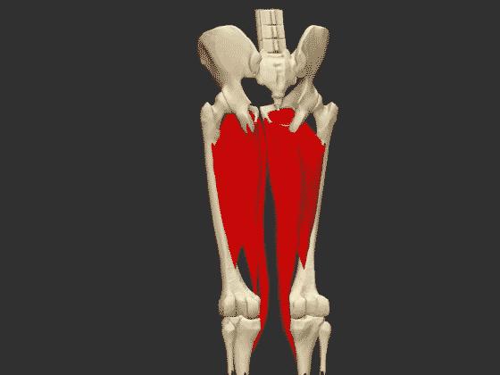 加强内收肌能改善o型腿吗,练内收肌可以瘦腿吗