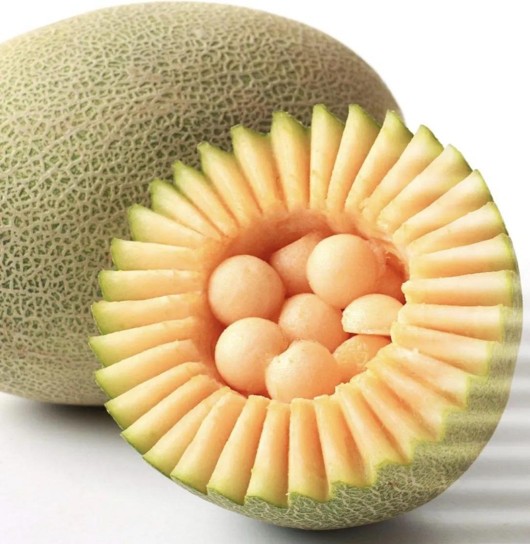 垂涎欲滴的瓜世界：瓜田李下说吃瓜，一片冰心香满园