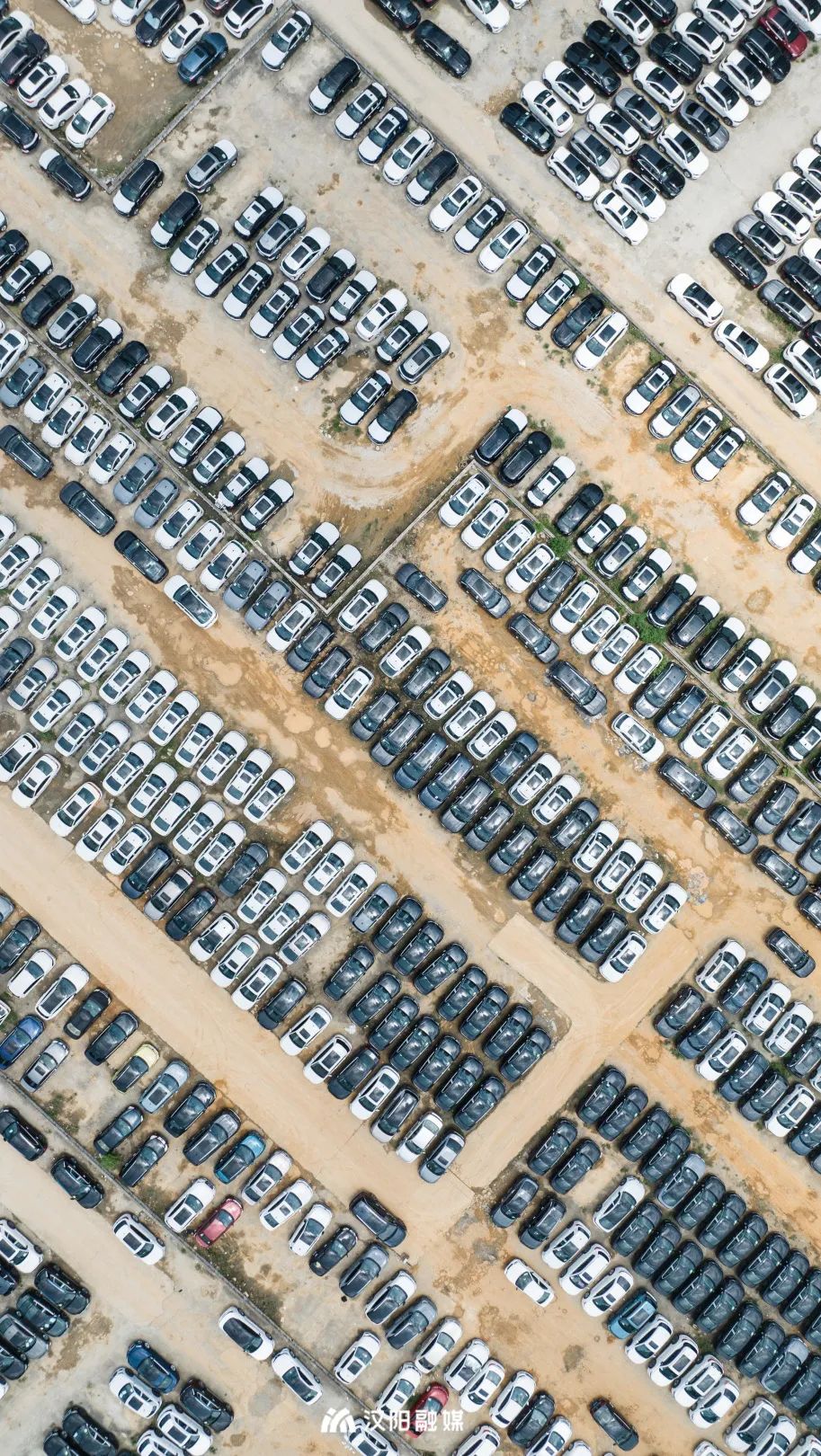 榫欓槼鐪嬮緳钁电殑鐪肩,榫欓槼婀栫湅鏃ュ嚭