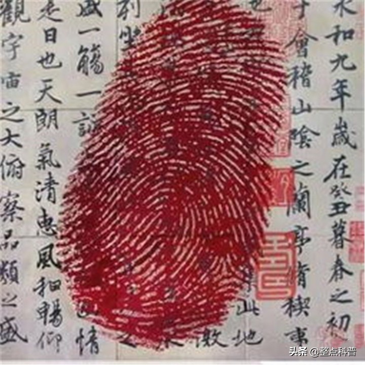 斗和簸箕的基因秘密,中科院发现斗与簸箕的奥秘