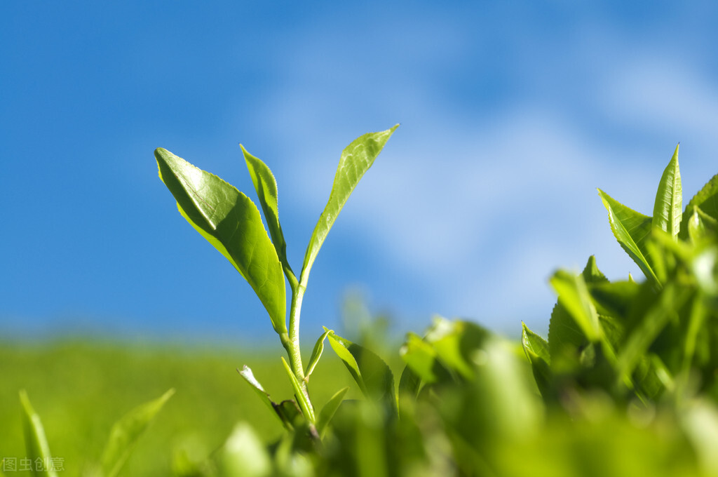 适合尾牙宴发朋友圈唯美文案,简单朋友圈文案短句干净阳光