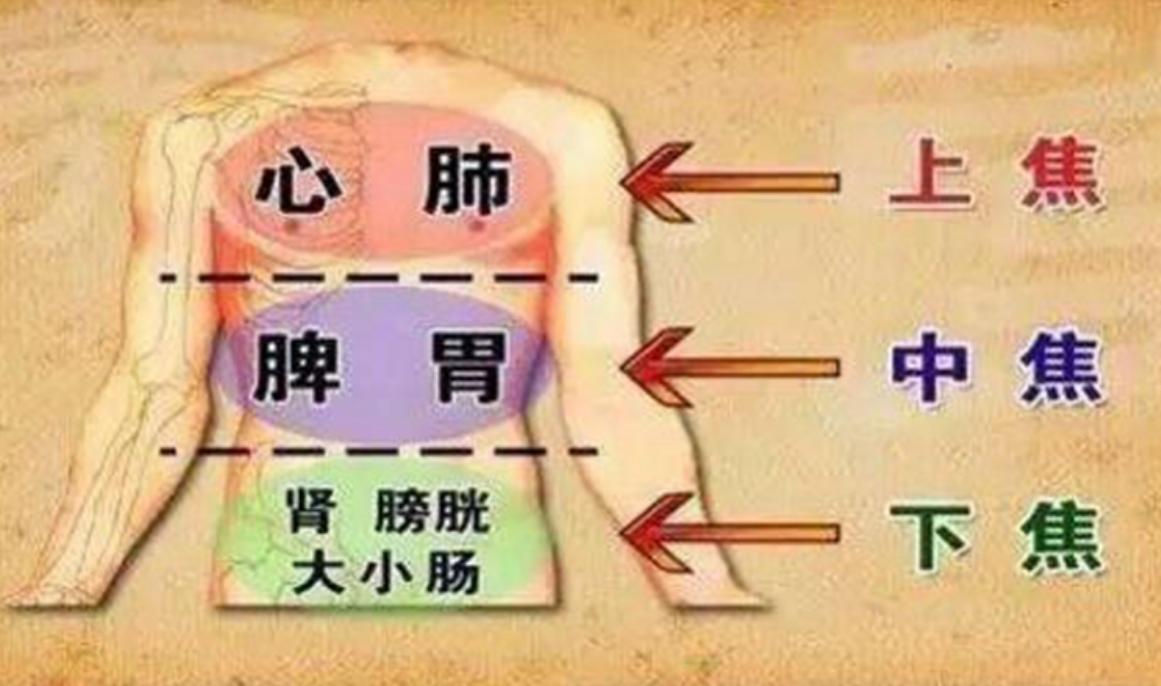 头发干枯与肺有联系吗,头发稀少和肺有关系吗