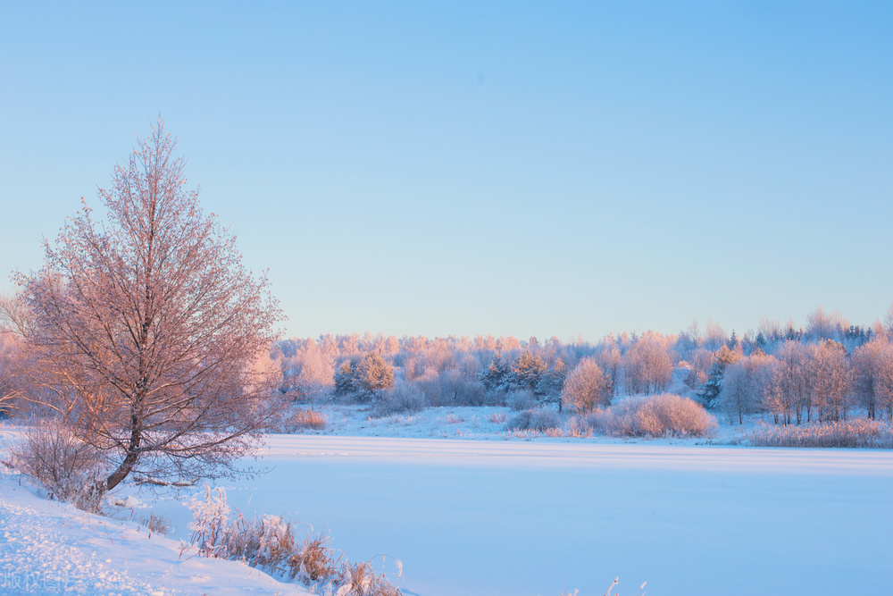 娓呮祬鏃跺厜闈欎韩娓呮,鏃跺厜娓呮祬浜洪棿娓呮