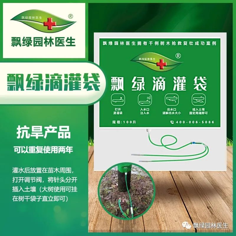 草坪苗木生长抑制最好方法,草坪灌木苗的养殖方法