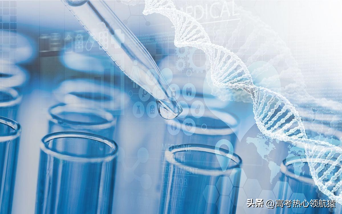 张雪峰建议生物跨专业考研,北京大学生物学专业张雪峰