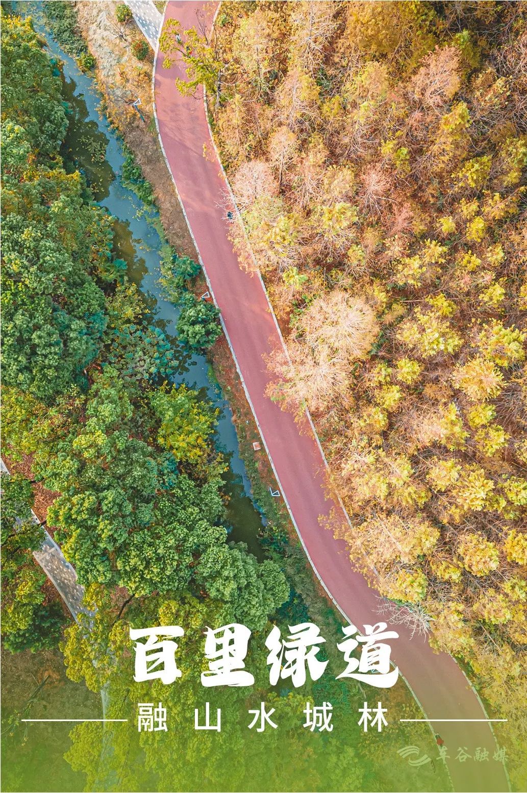 淘金山骑行绿道和东湖骑行绿道,周末绿道骑行一路都是美景