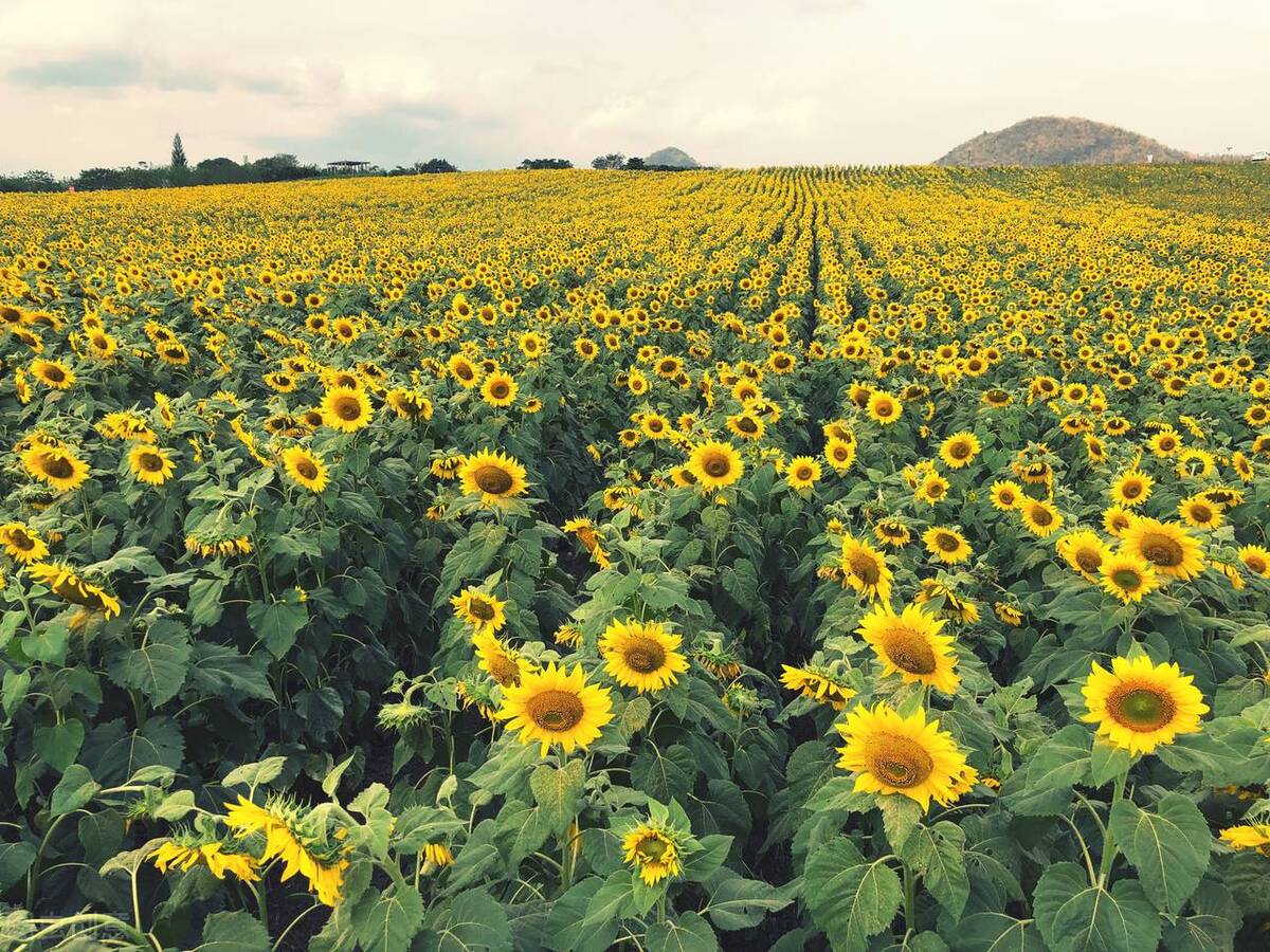 秋来风凉扯闲篇：记上一段杂乱的心路交集