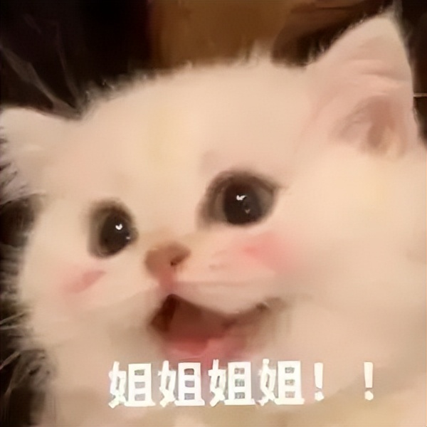 王心凌我的青春有你甜心教主,40岁的王心凌依旧是青春的模样