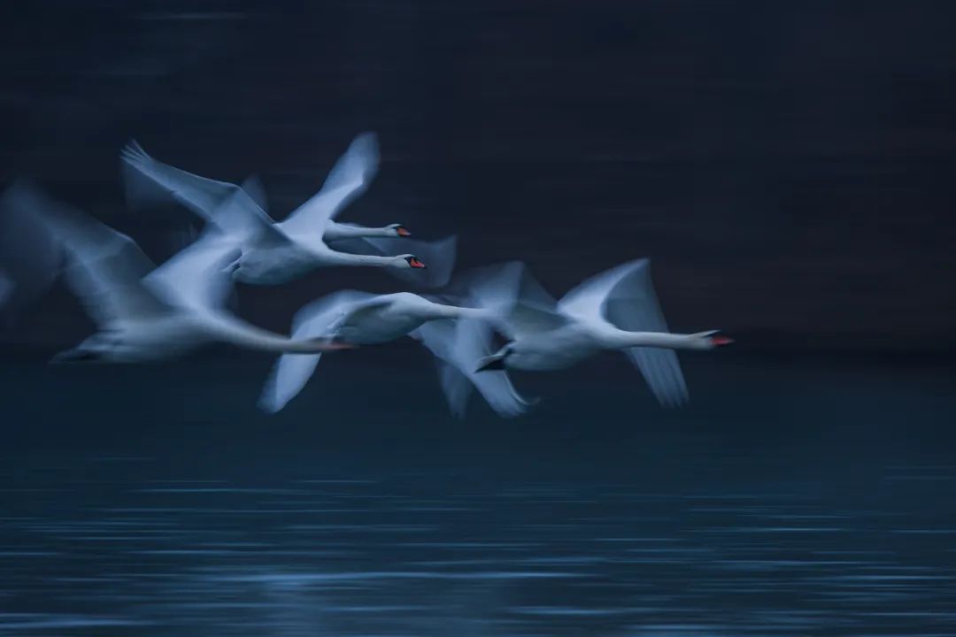 佳能r6mark2摄影三要素教程,eosr6markii景深合成