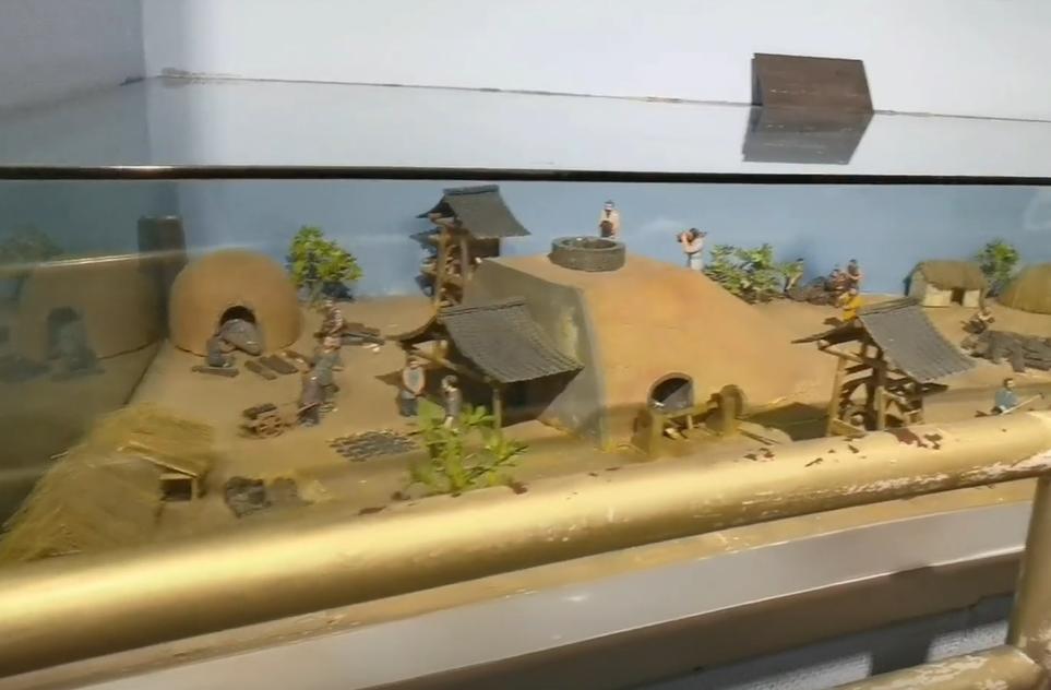 郑州博物馆讲解,郑州大鲵科普展馆