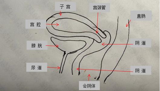 月经颜色黑代表啥,月经颜色暗红粘稠