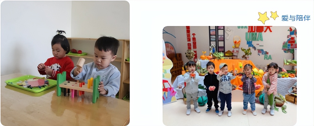 鎵樿偛鐓ф姢缃戜笂鎶ュ悕,鎵樿偛鐓ф姢鎶ュ悕