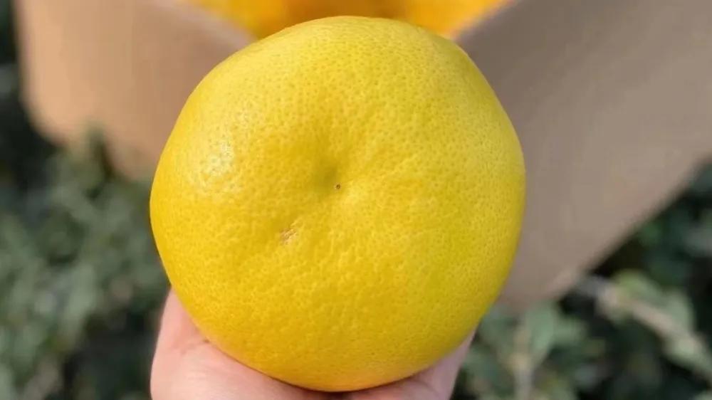 水果店水果怎么保鲜最好,水果店水果保鲜技巧大全