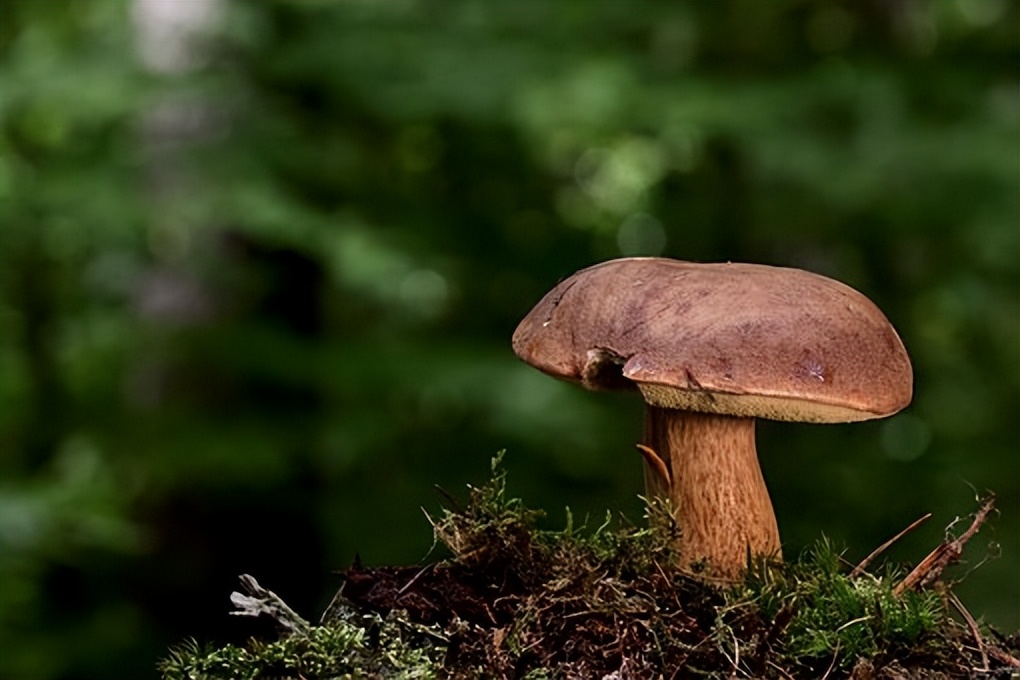 不要让4种人来你家串门,三种人不能随便去别人家串门