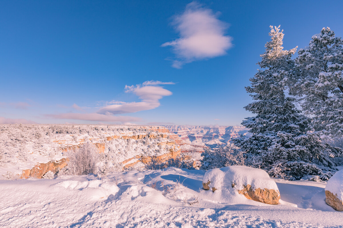 大白话说中医治前列腺炎,五种药膳改善前列腺炎症